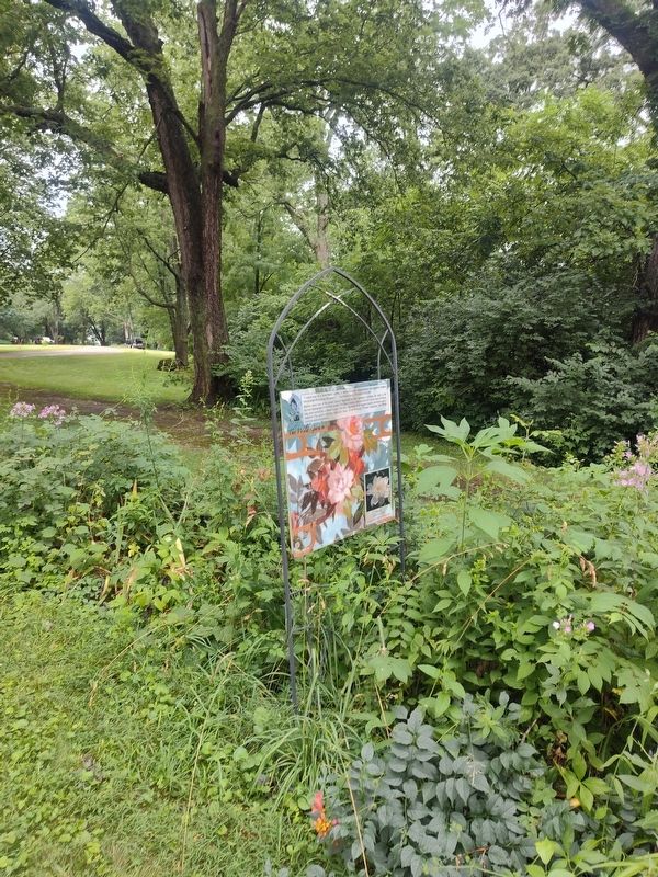 The Wild Garden Marker. Click for full size. The Wild Garden Marker image. Click for full size.