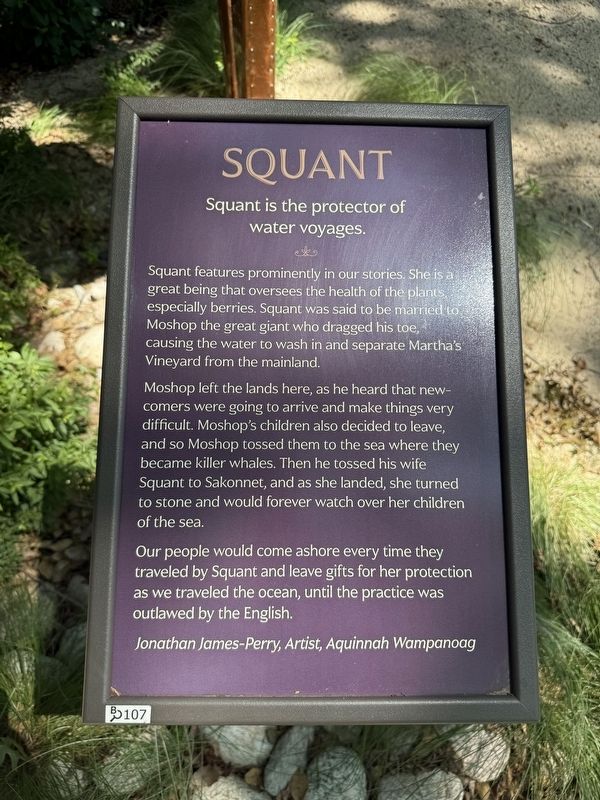 Squant Marker. Click for full size. Squant Marker image. Click for full size.
