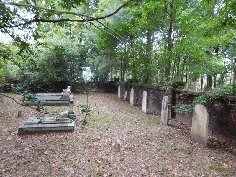 Johnson-McDuffie Cemetery image. Click for full size.
