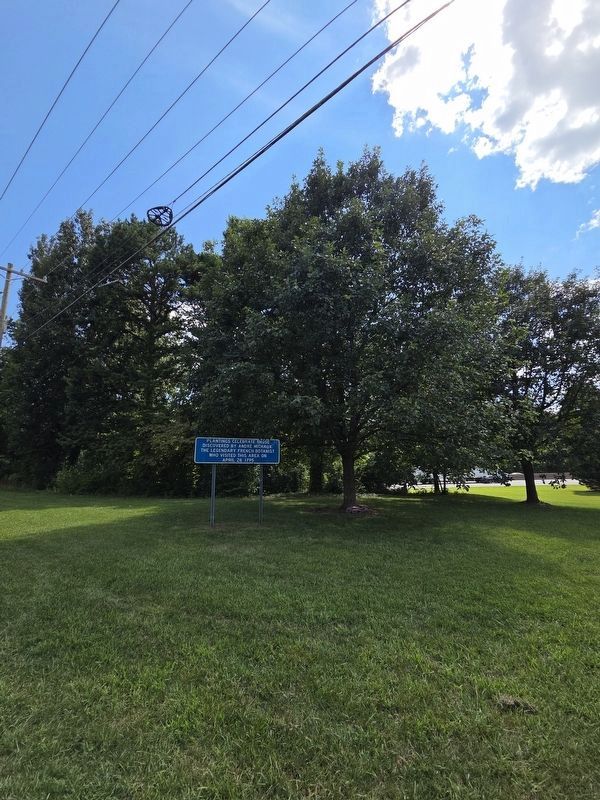 Andr� Michaux Visit Marker in front of tree is at I-85 overpass image. Click for full size.