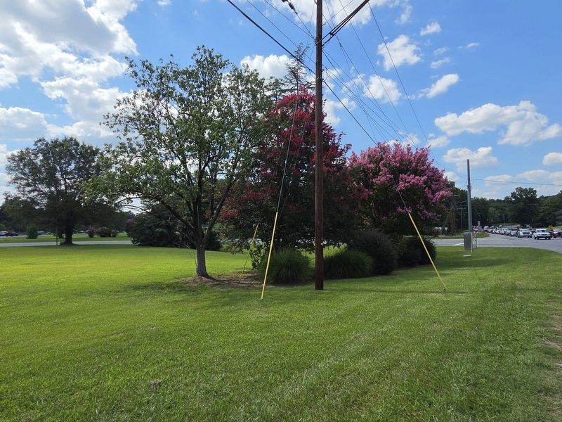 Nearby planter at the interchange image. Click for full size.