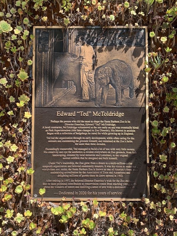 Edward "Ted" McToldridge Marker image. Click for full size.