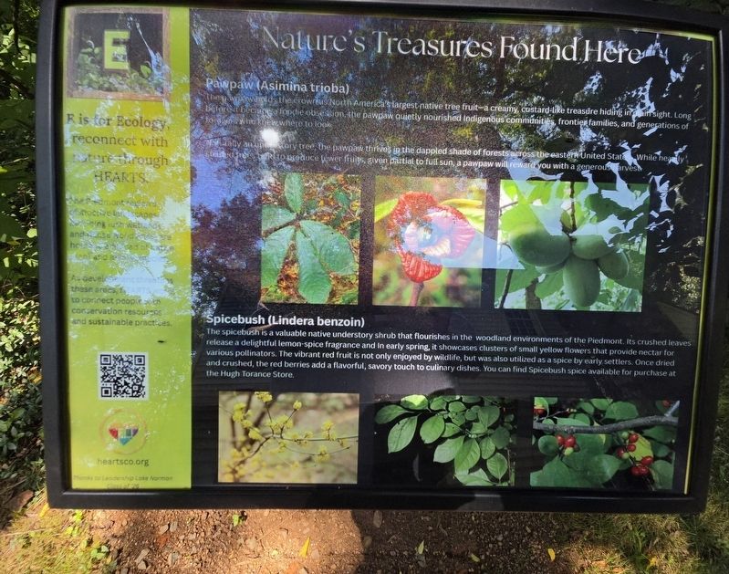 Nature's Treasures Found Here Marker. Click for full size. Nature's Treasures Found Here Marker image. Click for full size.