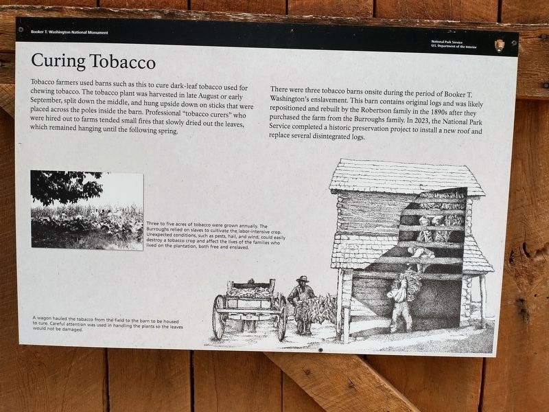 Curing Tobacco Marker. Click for full size. Curing Tobacco Marker image. Click for full size.