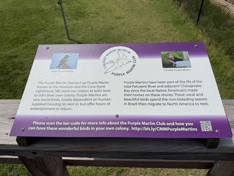 Nearby Purple Martin Club signage. Click for full size. Nearby Purple Martin Club signage image. Click for full size.