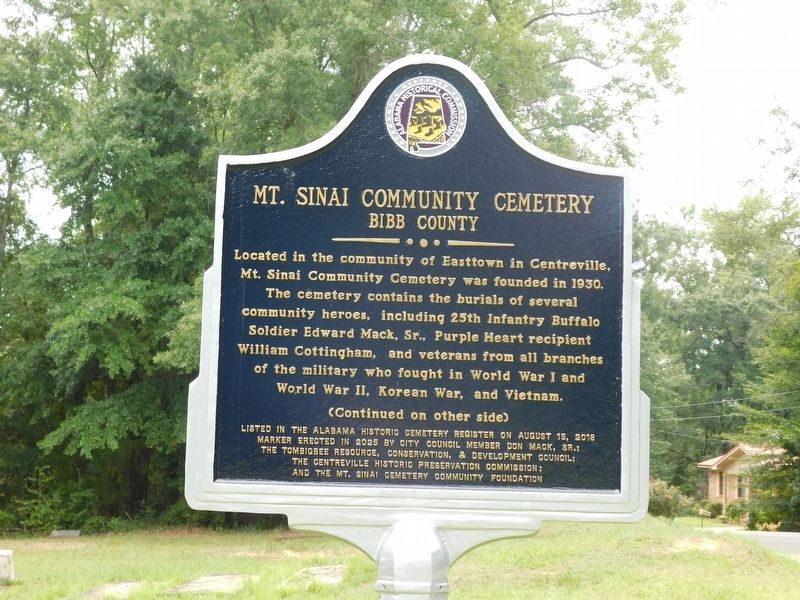 Mt. Sinai Community Cemetery Marker. Click for full size. Mt. Sinai Community Cemetery Marker image. Click for full size.