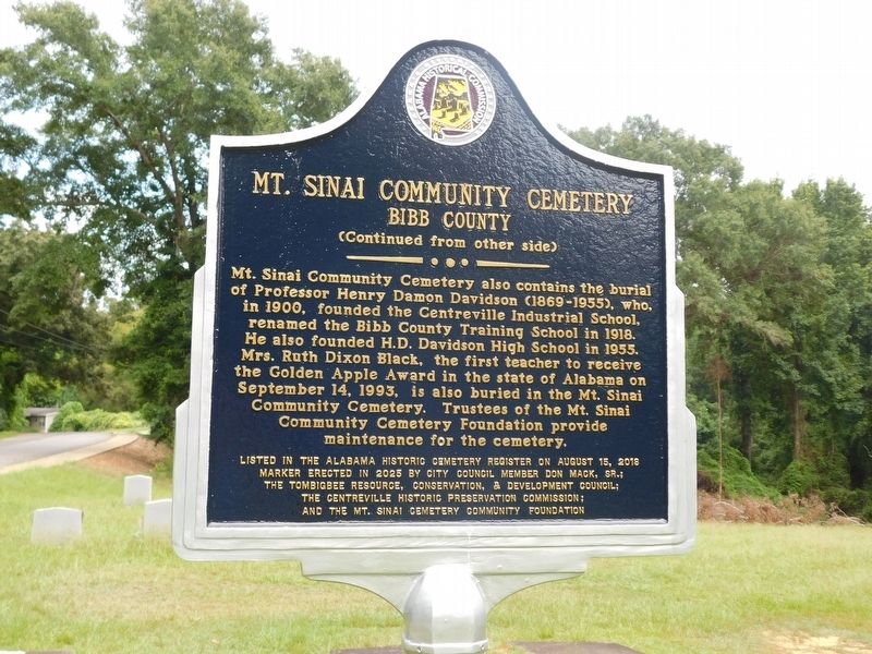 Mt. Sinai Community Cemetery Marker. Click for full size. Mt. Sinai Community Cemetery Marker image. Click for full size.