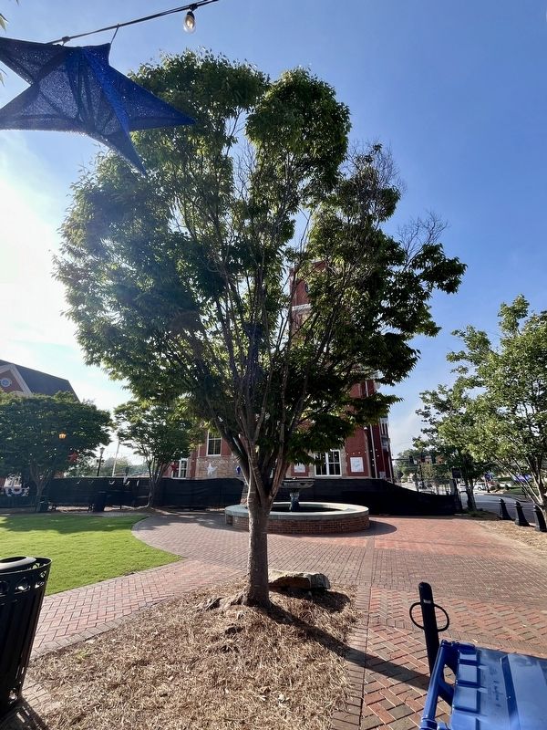 look north, marker behind tree and in front of Old Paulding County Courthouse. Click for full size. look north, marker behind tree and in front of Old Paulding County Courthouse image. Click for full size.