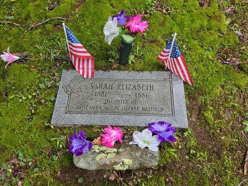 Grave of Sally McCoy. Click for full size. Grave of Sally McCoy image. Click for full size.