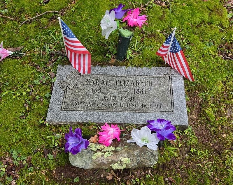 Grave site of Sarah McCoy. Click for full size. Grave site of Sarah McCoy image. Click for full size.