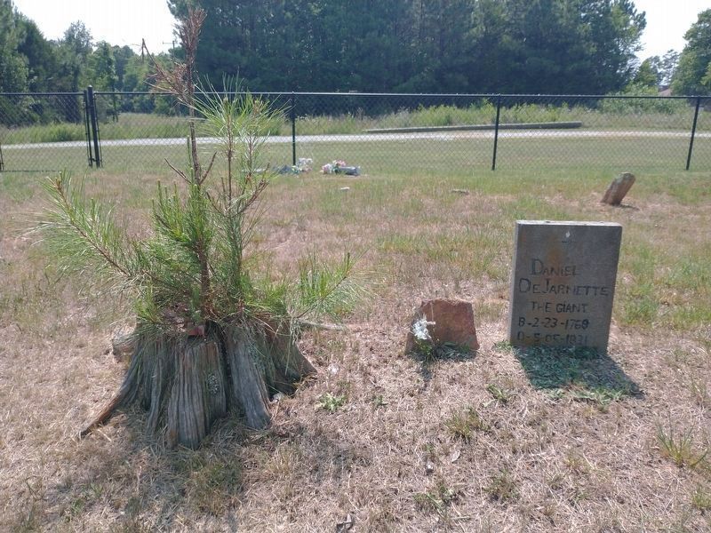 DeJarnette Family Cemetery. Click for full size. DeJarnette Family Cemetery image. Click for full size.