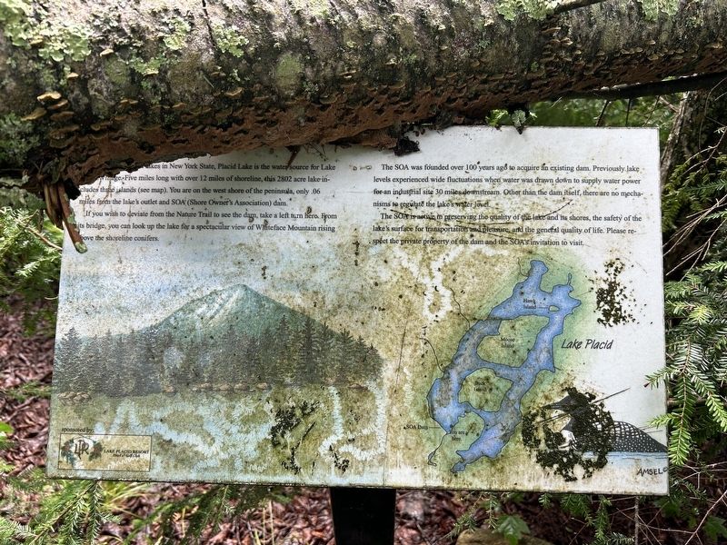 Lake Placid Marker. Click for full size. Lake Placid Marker image. Click for full size.