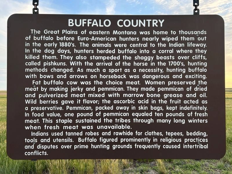 Buffalo Country Marker. Click for full size. Buffalo Country Marker image. Click for full size.