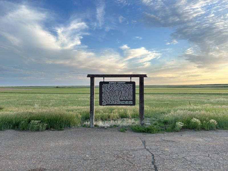 Buffalo Country Marker. Click for full size. Buffalo Country Marker image. Click for full size.