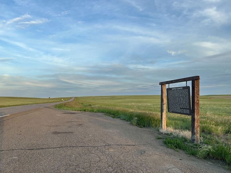 Buffalo Country Marker. Click for full size. Buffalo Country Marker image. Click for full size.