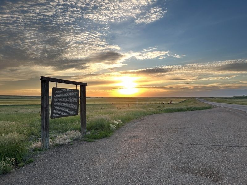 Buffalo Country Marker. Click for full size. Buffalo Country Marker image. Click for full size.