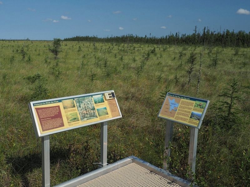 Before the Big Bog Marker (right) at the end of the Bog Boardwalk trail. Click for full size. Before the Big Bog Marker (right) at the end of the Bog Boardwalk trail image. Click for full size.