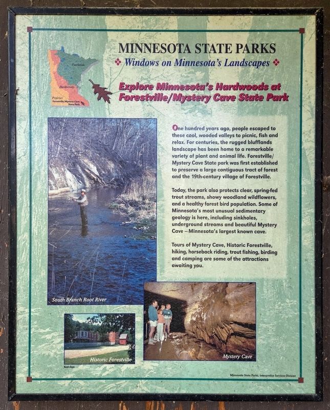 Explore Minnesota's Hardwoods at Forestville/Mystery Cave State Park Marker. Click for full size. Explore Minnesota's Hardwoods at Forestville/Mystery Cave State Park Marker image. Click for full size.