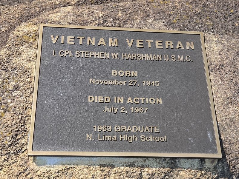 Vietnam Veteran Marker. Click for full size. Vietnam Veteran Marker image. Click for full size.