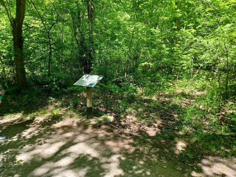 Sanilac Petroglyphs Park Geology Marker. Click for full size. Sanilac Petroglyphs Park Geology Marker image. Click for full size.