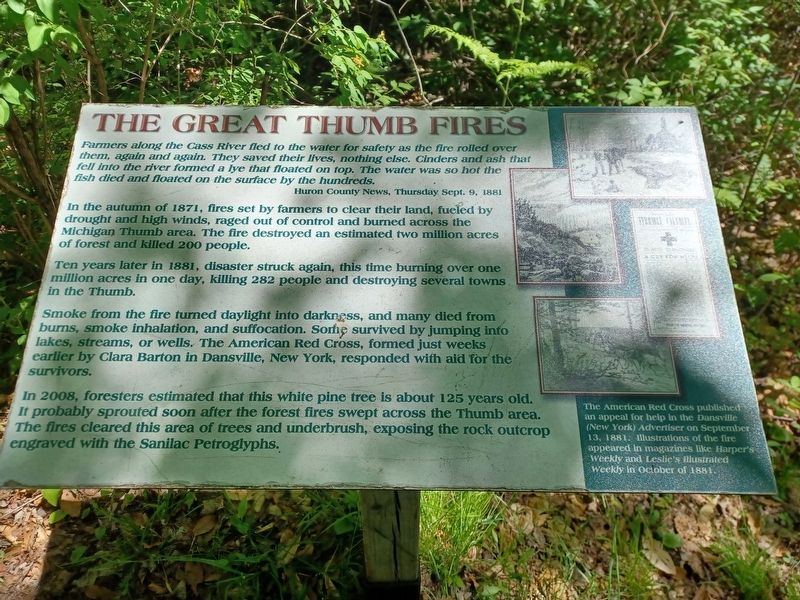 The Great Thumb Fires Marker. Click for full size. The Great Thumb Fires Marker image. Click for full size.