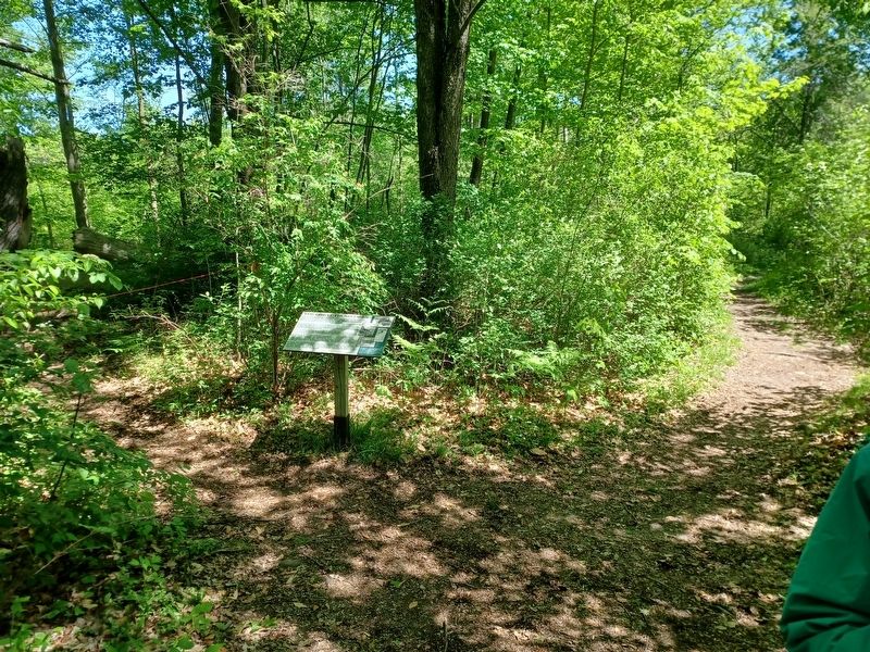The Great Thumb Fires Marker. Click for full size. The Great Thumb Fires Marker image. Click for full size.