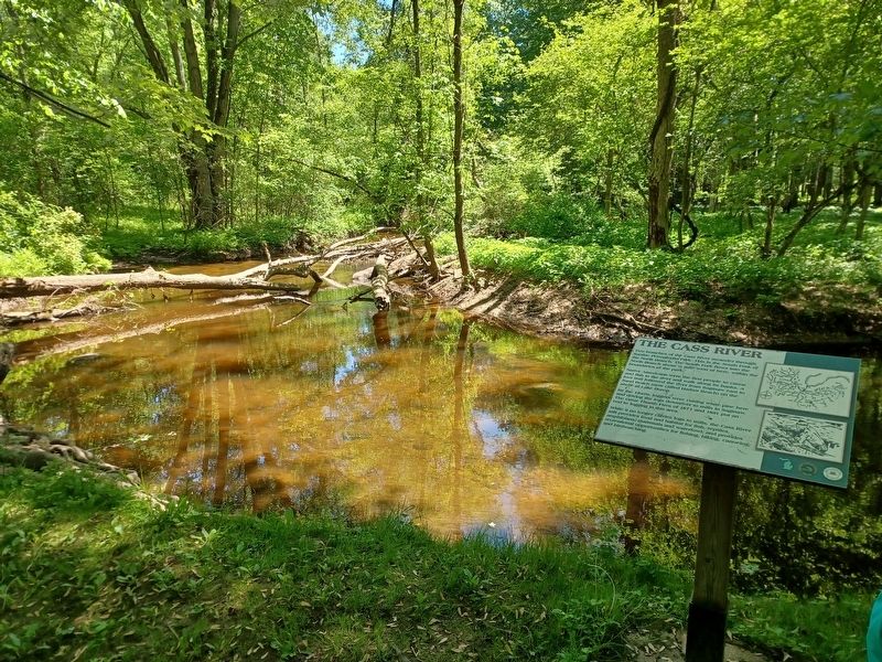 The Cass River Marker. Click for full size. The Cass River Marker image. Click for full size.