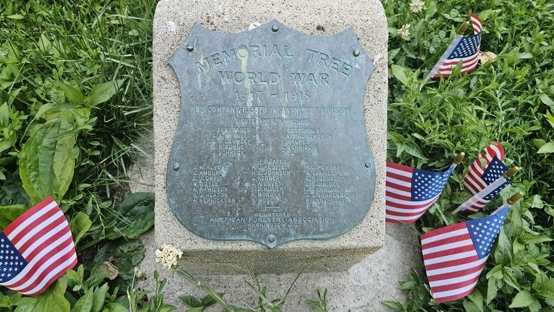 Company F, 307th Infantry, 77th Division Marker image. Click for full size.