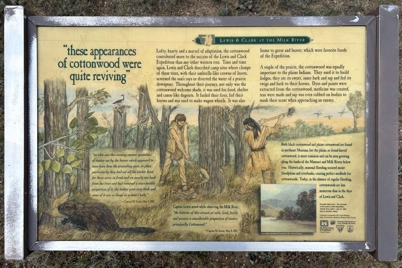 "these appearances of cottonwood were quite reviving" Marker. Click for full size. "these appearances of cottonwood were quite reviving" Marker image. Click for full size.