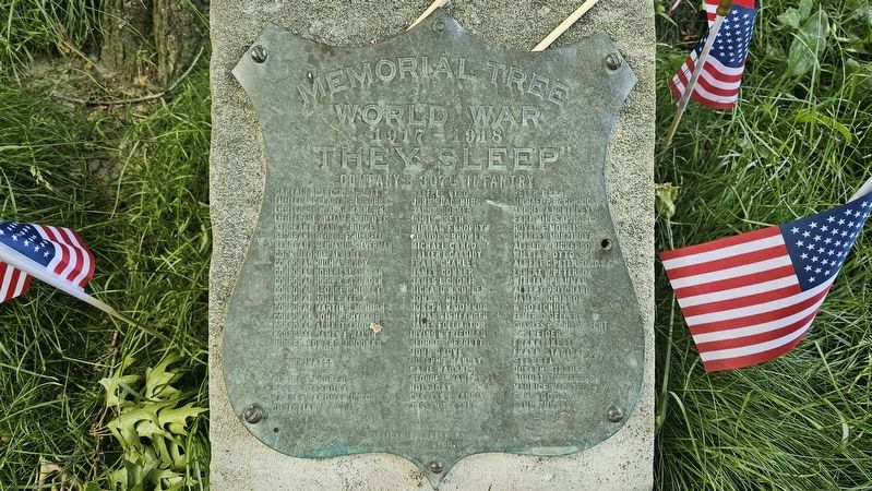 Company B, 307th Infantry Marker image. Click for full size.