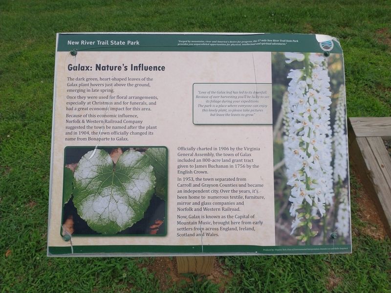 Galax: Nature's Influence Marker. Click for full size. Galax: Nature's Influence Marker image. Click for full size.