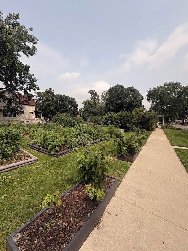Mayfield Community Garden image. Click for full size.