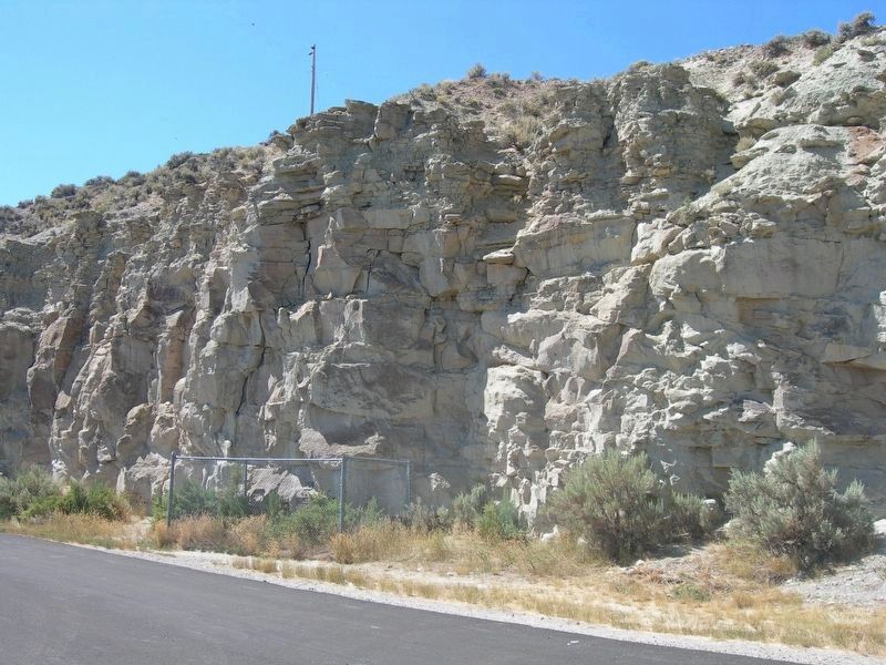 Jim Bridger Marker and Carving. Click for full size. Jim Bridger Marker and Carving image. Click for full size.