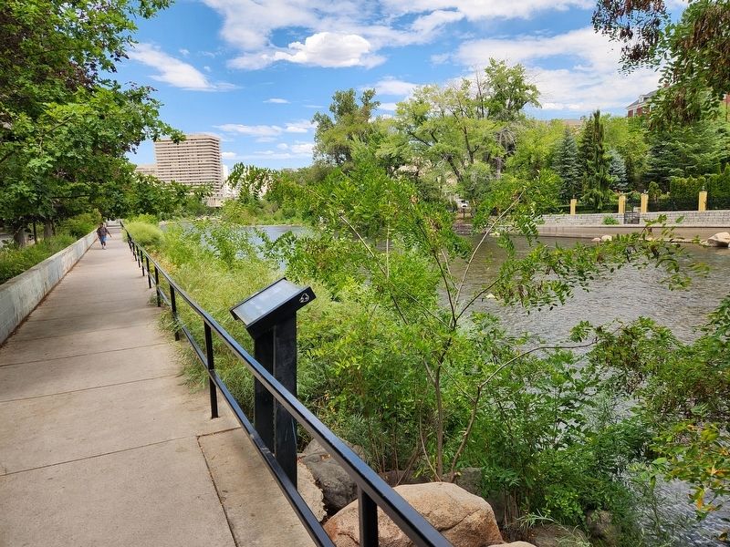 Fish of the Truckee River Marker. Click for full size. Fish of the Truckee River Marker image. Click for full size.