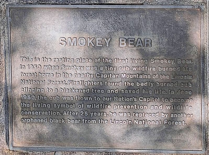 Smokey Bear Marker. Click for full size. Smokey Bear Marker image. Click for full size.
