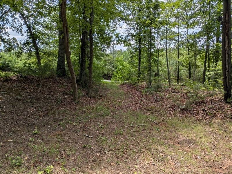 Fredericksburg Plank Road Trace image. Click for full size.