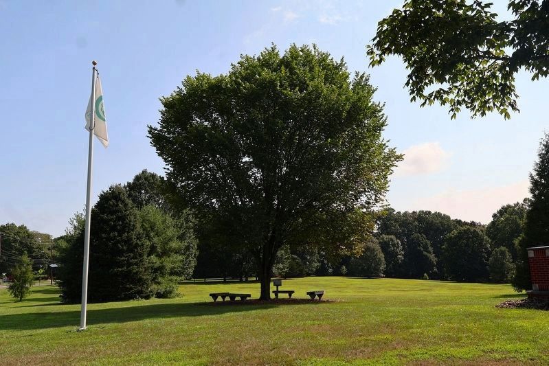 West Windsor Township Liberty Tree image. Click for full size.