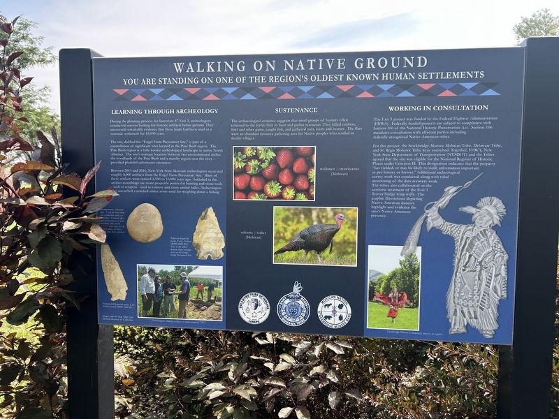 Walking on Native Ground Marker. Click for full size. Walking on Native Ground Marker image. Click for full size.