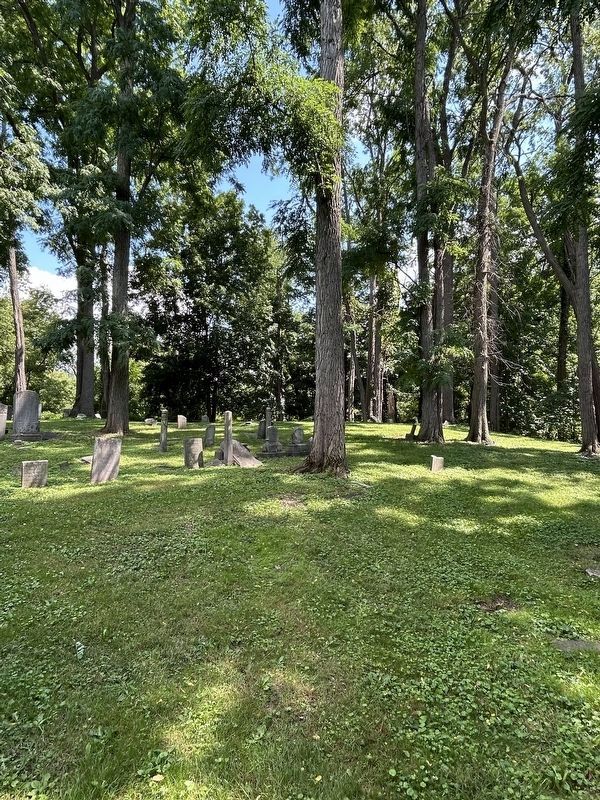 Shoemaker Cemetery image. Click for full size.