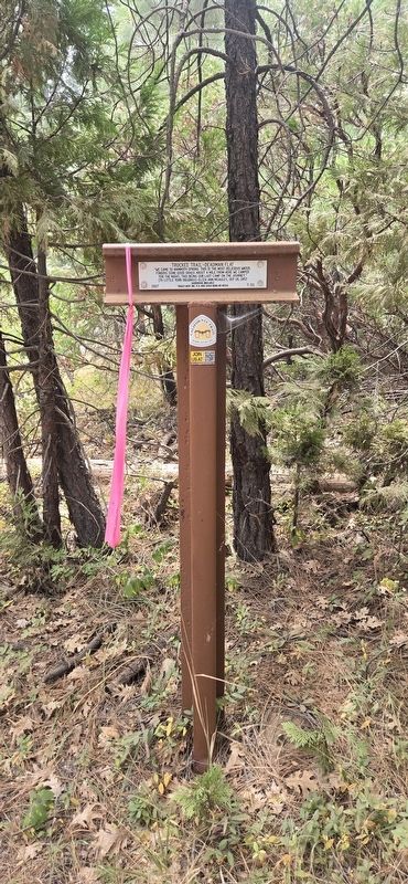 Truckee trail Deadman flat Marker. Click for full size. Truckee trail Deadman flat Marker image. Click for full size.