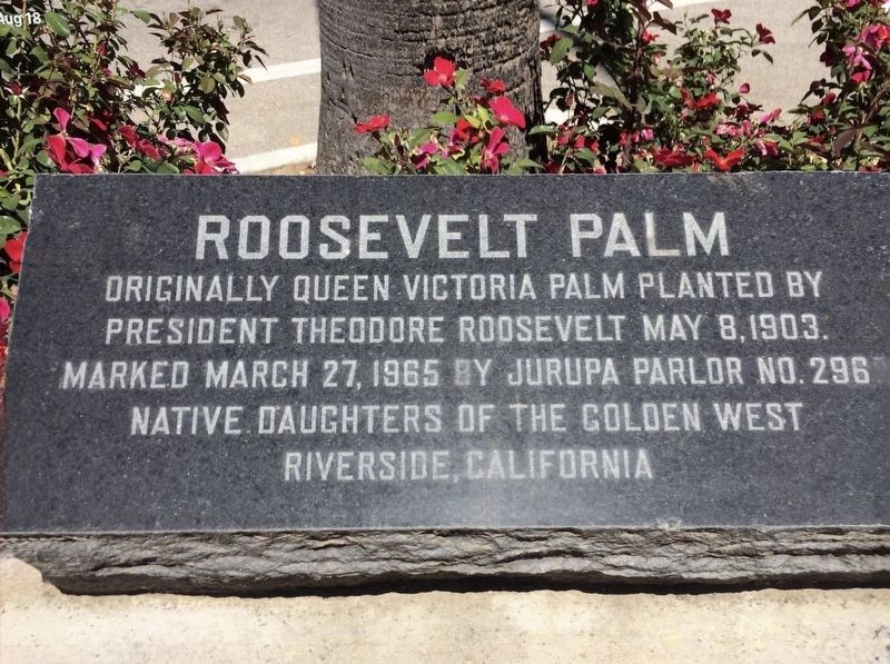 Roosevelt Palm Marker. Click for full size. Roosevelt Palm Marker image. Click for full size.
