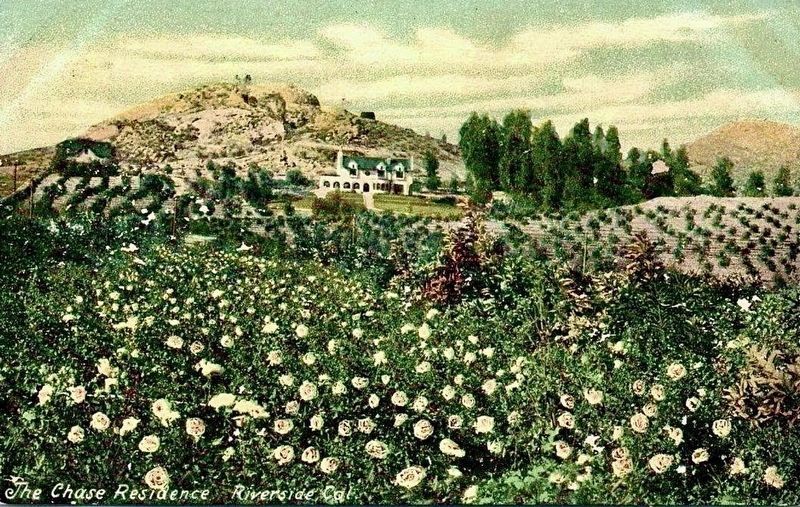 Chase Residence Postcard circa 1910. Click for full size. Chase Residence Postcard circa 1910 image. Click for full size.