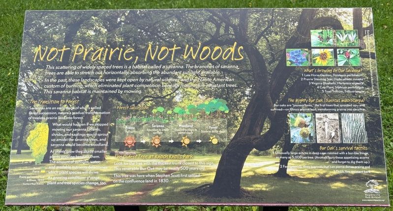 Not Prairie, Not Woods Marker image. Click for full size.