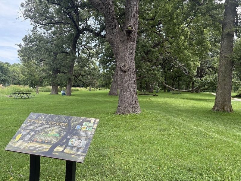 Not Prairie, Not Woods Marker image. Click for full size.