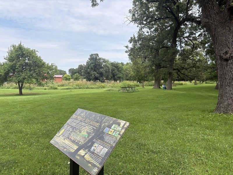 Not Prairie, Not Woods Marker image. Click for full size.