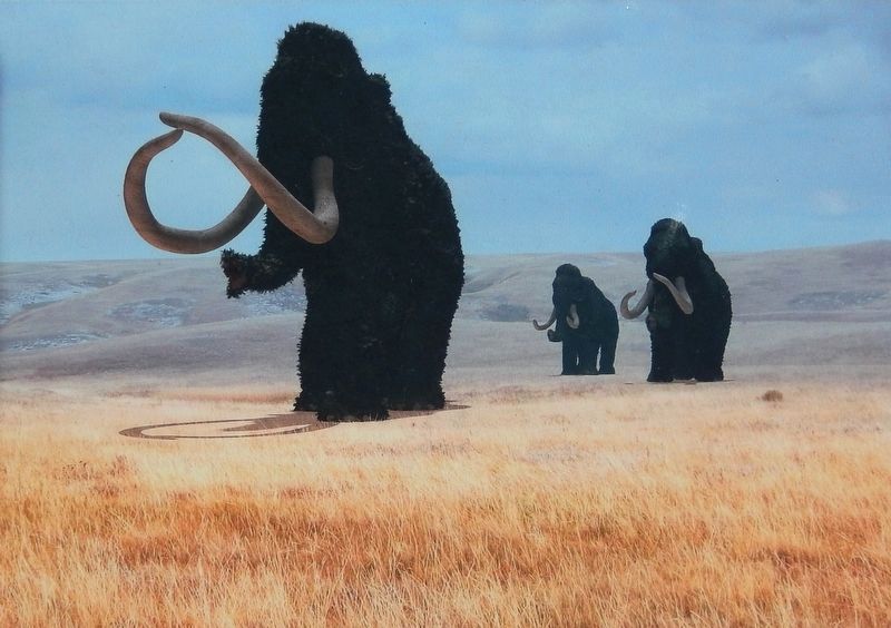 Marker detail: Woolly Mammoth image. Click for full size.