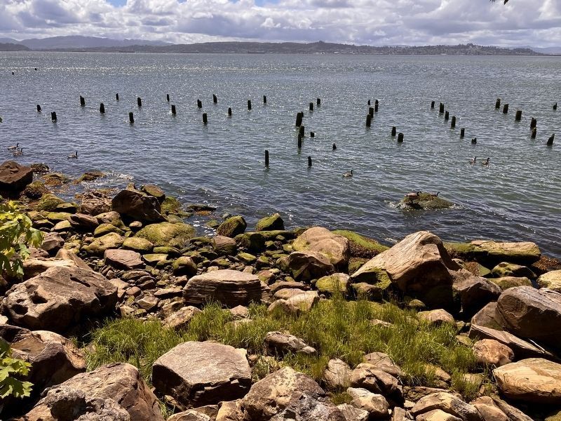 Pilings of the Megler Cannery image. Click for full size.
