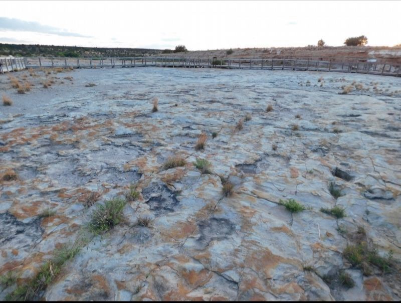 Dinosaur Tracks at Trackway State Park. Click for full size. Dinosaur Tracks at Trackway State Park image. Click for full size.