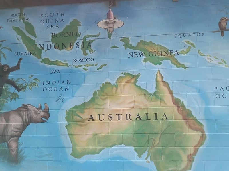 Tree Kangaroo Conservation Program (TKCP) Marker image. Click for full size.
