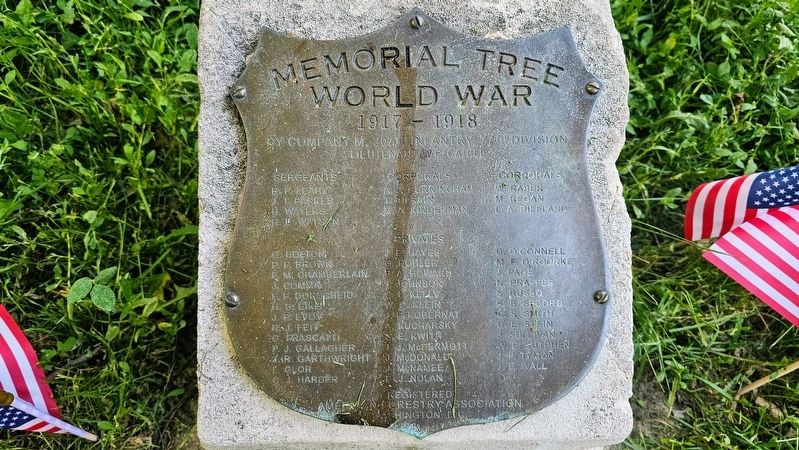 Company M, 307th Infantry, 77th Division Marker image. Click for full size.